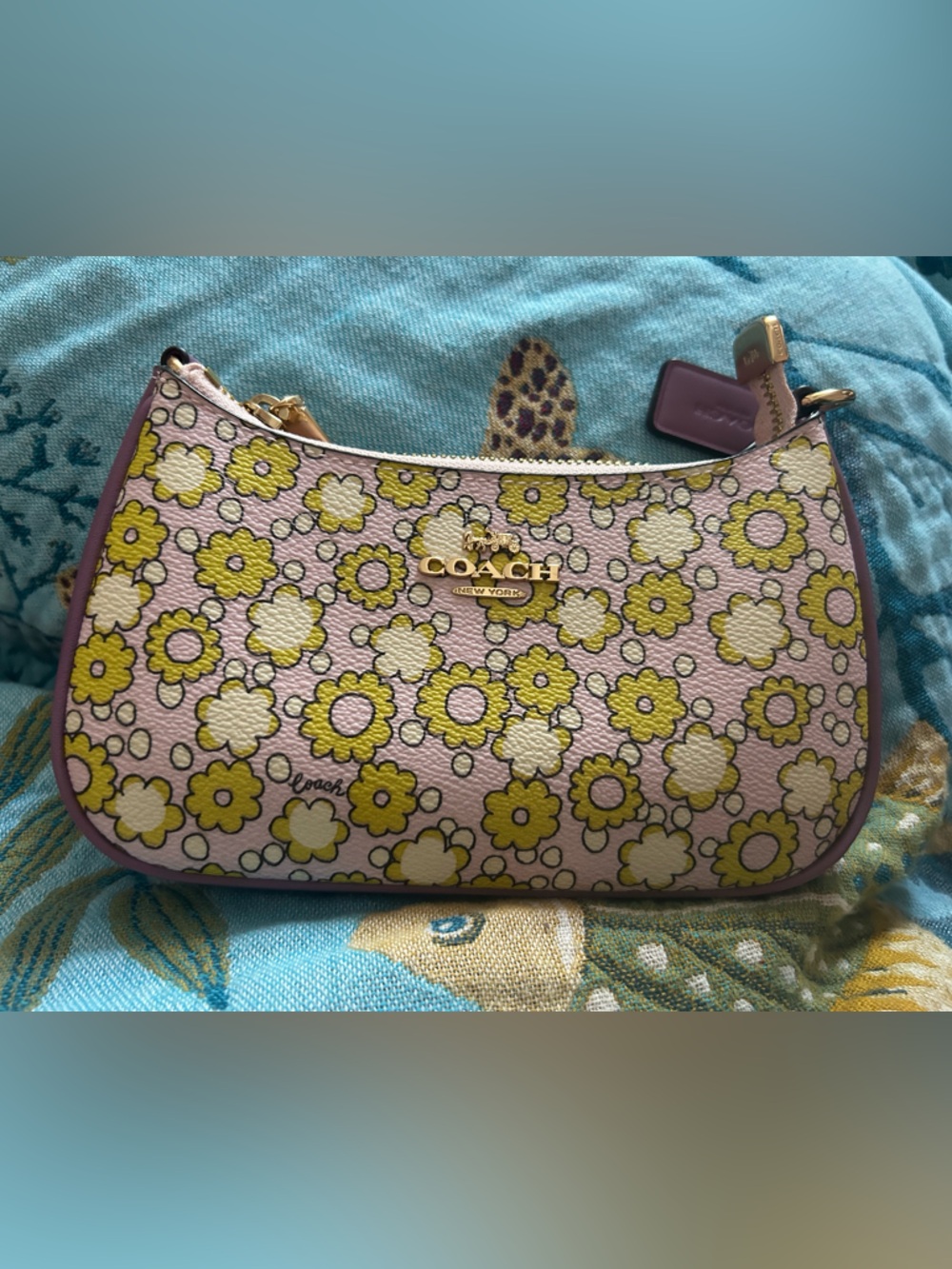 Coach mini Teri